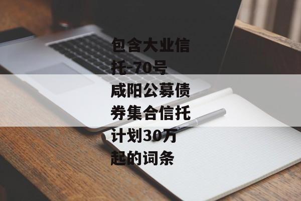 包含大业信托-70号咸阳公募债券集合信托计划30万起的词条-第1张图片-信托定融返点网