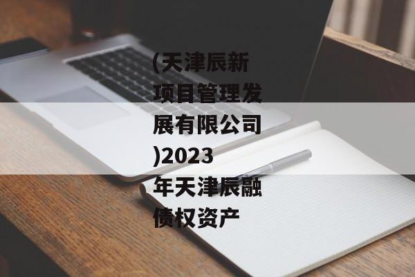 (天津辰新项目管理发展有限公司)2023年天津辰融债权资产-第1张图片-信托定融返点网