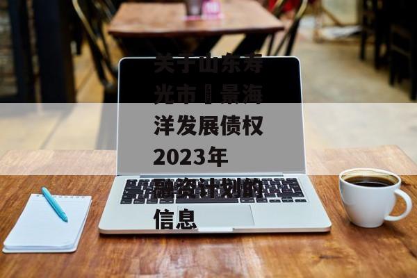 关于山东寿光市昇景海洋发展债权2023年融资计划的信息