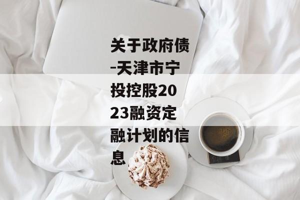 关于政府债-天津市宁投控股2023融资定融计划的信息