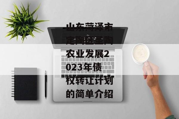 山东菏泽市定陶区圣陶农业发展2023年债权转让计划的简单介绍