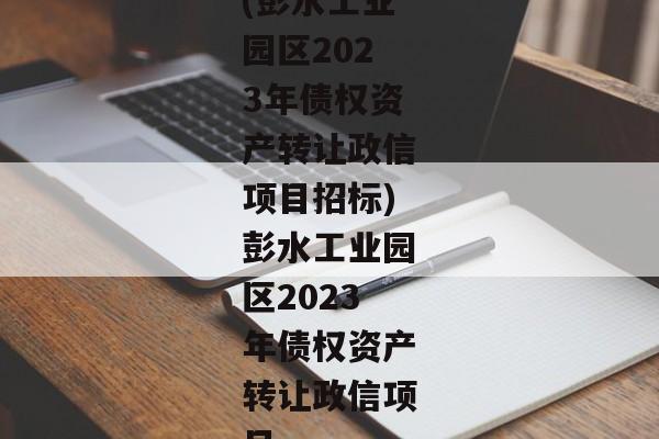 (彭水工业园区2023年债权资产转让政信项目招标)彭水工业园区2023年债权资产转让政信项目