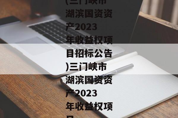 (三门峡市湖滨国资资产2023年收益权项目招标公告)三门峡市湖滨国资资产2023年收益权项目-第1张图片-信托定融返点网