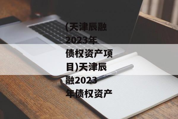 (天津辰融2023年债权资产项目)天津辰融2023年债权资产