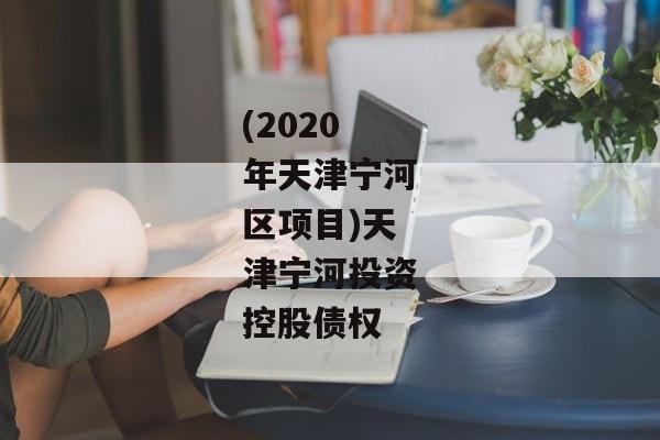 (2020年天津宁河区项目)天津宁河投资控股债权-第1张图片-信托定融返点网