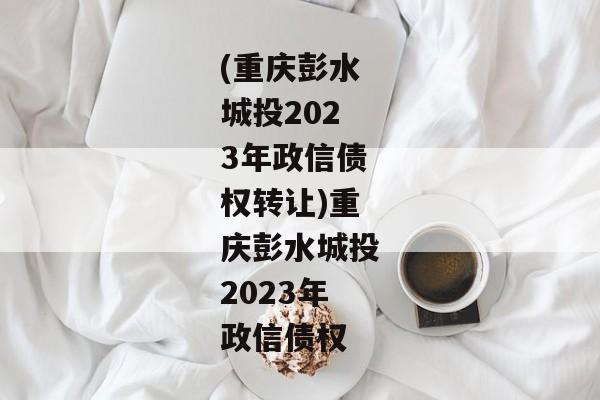 (重庆彭水城投2023年政信债权转让)重庆彭水城投2023年政信债权-第1张图片-信托定融返点网