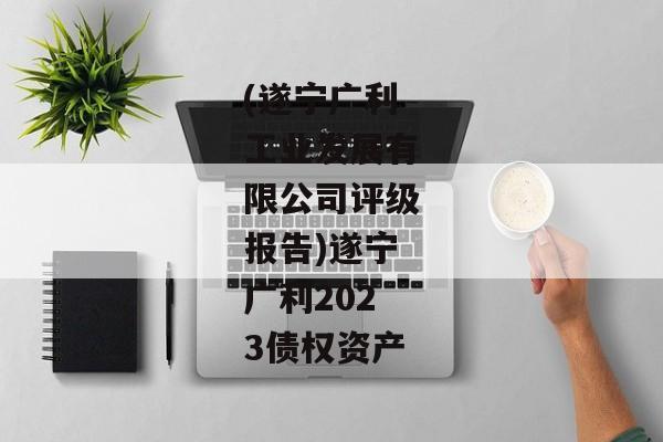 (遂宁广利工业发展有限公司评级报告)遂宁广利2023债权资产