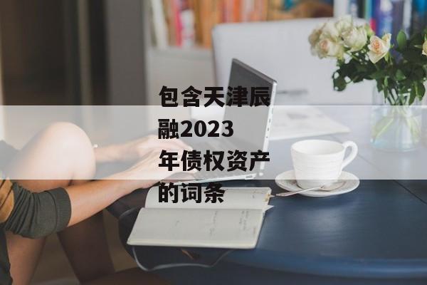 包含天津辰融2023年债权资产的词条