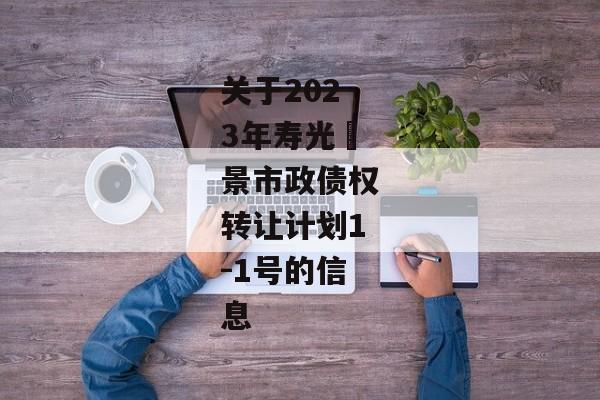 关于2023年寿光昇景市政债权转让计划1-1号的信息