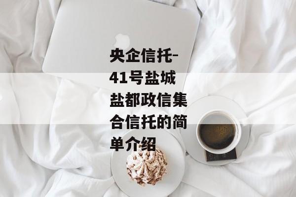 央企信托-41号盐城盐都政信集合信托的简单介绍-第1张图片-信托定融返点网