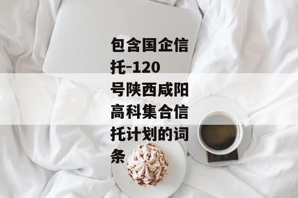 包含国企信托-120号陕西咸阳高科集合信托计划的词条-第1张图片-信托定融返点网