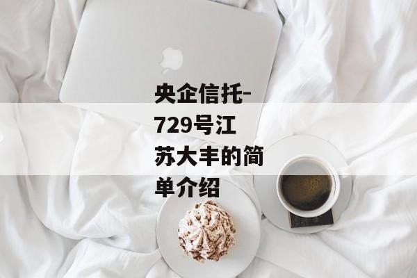 央企信托-729号江苏大丰的简单介绍-第1张图片-信托定融返点网