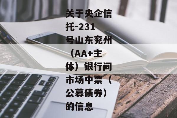 关于央企信托-231号山东兖州（AA+主体）银行间市场中票（公募债券）的信息