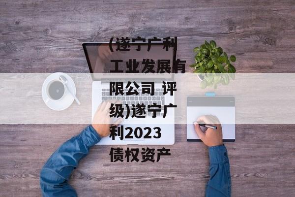 (遂宁广利工业发展有限公司 评级)遂宁广利2023债权资产-第1张图片-信托定融返点网