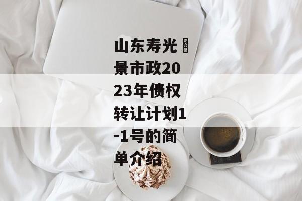 山东寿光昇景市政2023年债权转让计划1-1号的简单介绍-第1张图片-信托定融返点网