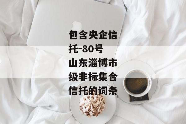 包含央企信托-80号山东淄博市级非标集合信托的词条-第1张图片-信托定融返点网