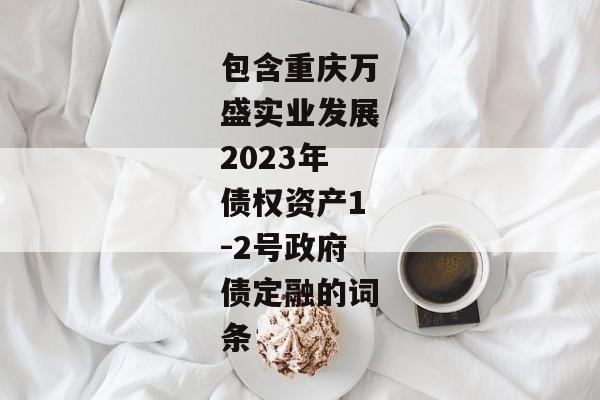 包含重庆万盛实业发展2023年债权资产1-2号政府债定融的词条-第1张图片-信托定融返点网