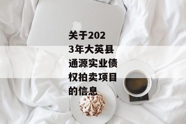 关于2023年大英县通源实业债权拍卖项目的信息-第1张图片-信托定融返点网