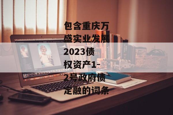 包含重庆万盛实业发展2023债权资产1-2号政府债定融的词条