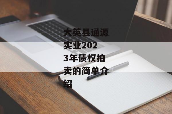 大英县通源实业2023年债权拍卖的简单介绍