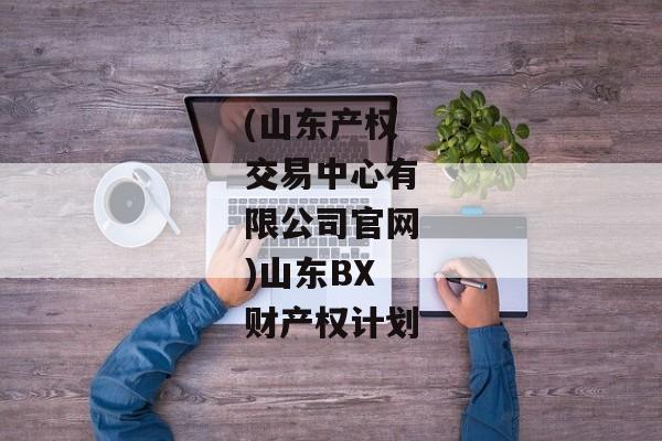 (山东产权交易中心有限公司官网)山东BX财产权计划