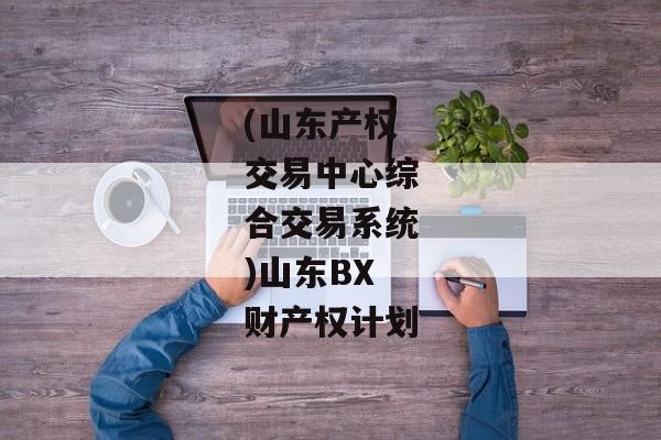 (山东产权交易中心综合交易系统)山东BX财产权计划