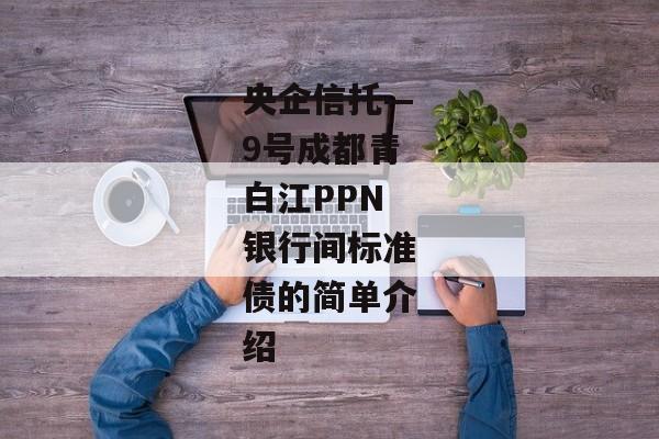 央企信托—9号成都青白江PPN银行间标准债的简单介绍-第1张图片-信托定融返点网