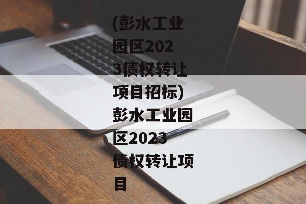 (彭水工业园区2023债权转让项目招标)彭水工业园区2023债权转让项目