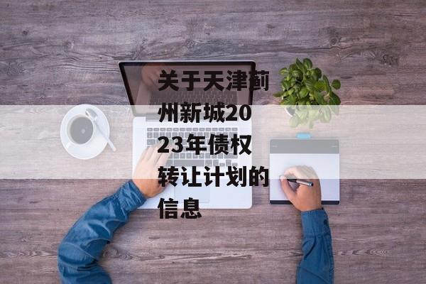 关于天津蓟州新城2023年债权转让计划的信息