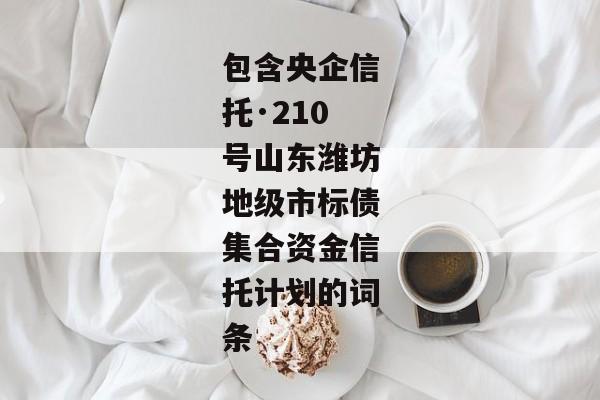 包含央企信托·210号山东潍坊地级市标债集合资金信托计划的词条-第1张图片-信托定融返点网