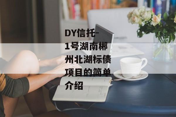 DY信托-1号湖南郴州北湖标债项目的简单介绍-第1张图片-信托定融返点网