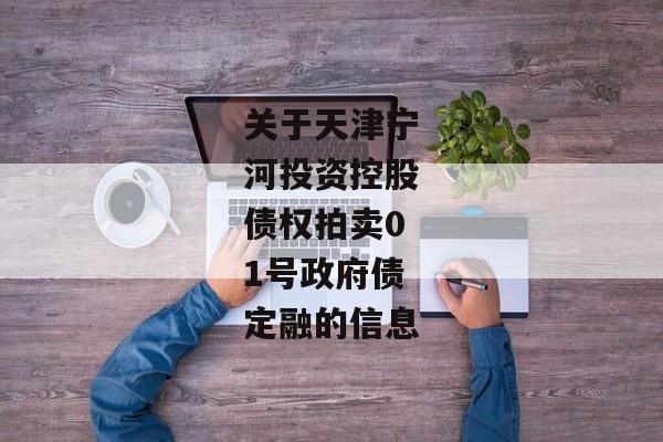 关于天津宁河投资控股债权拍卖01号政府债定融的信息