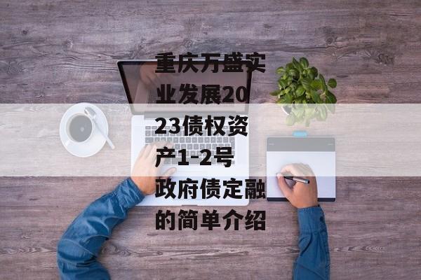 重庆万盛实业发展2023债权资产1-2号政府债定融的简单介绍-第1张图片-信托定融返点网