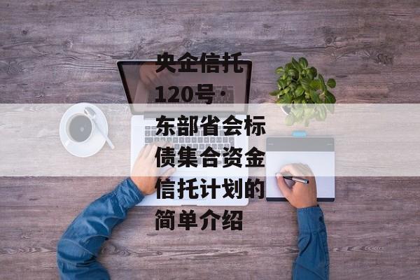 央企信托-120号·东部省会标债集合资金信托计划的简单介绍