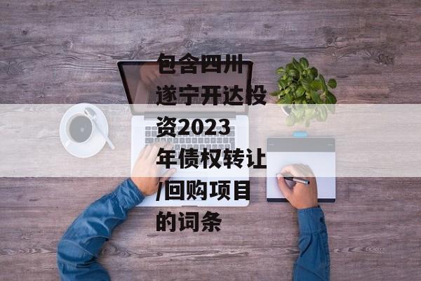 包含四川-遂宁开达投资2023年债权转让/回购项目的词条