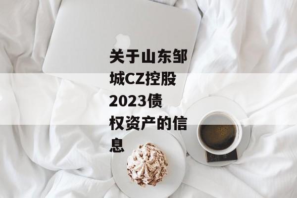 关于山东邹城CZ控股2023债权资产的信息