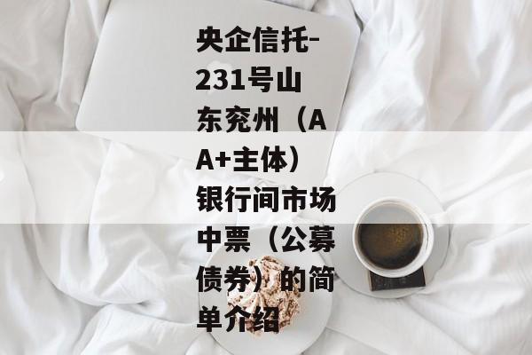 央企信托-231号山东兖州（AA+主体）银行间市场中票（公募债券）的简单介绍