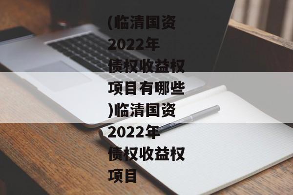 (临清国资2022年债权收益权项目有哪些)临清国资2022年债权收益权项目-第1张图片-信托定融返点网