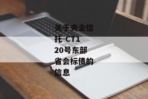 关于央企信托-CT120号东部省会标债的信息