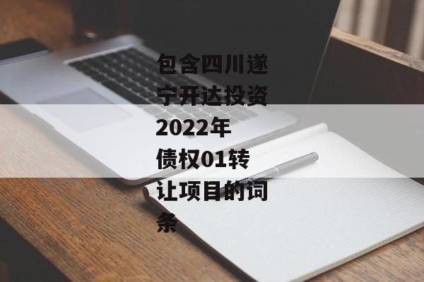 包含四川遂宁开达投资2022年债权01转让项目的词条