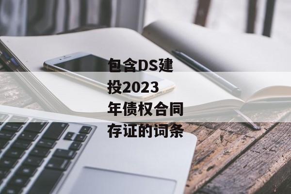 包含DS建投2023年债权合同存证的词条