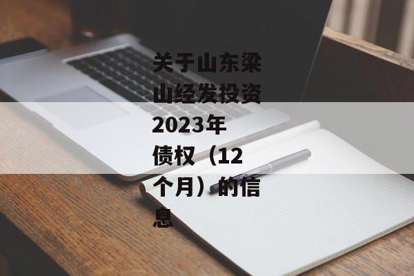 关于山东梁山经发投资2023年债权（12个月）的信息-第1张图片-信托定融返点网