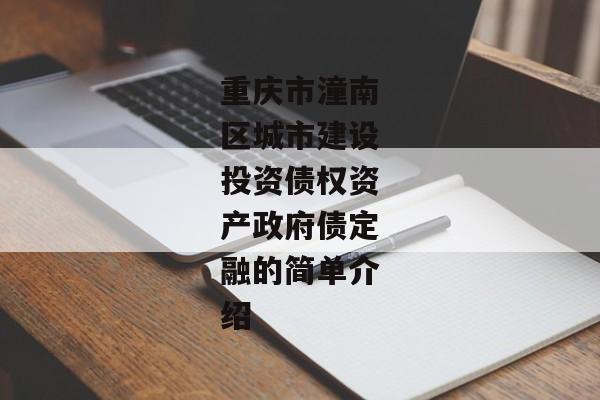 重庆市潼南区城市建设投资债权资产政府债定融的简单介绍-第1张图片-信托定融返点网