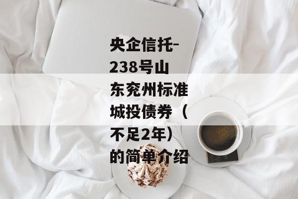 央企信托-238号山东兖州标准城投债券（不足2年）的简单介绍-第1张图片-信托定融返点网