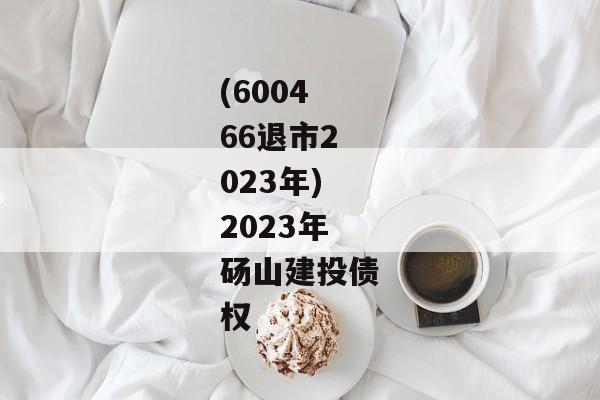 (600466退市2023年)2023年砀山建投债权-第1张图片-信托定融返点网