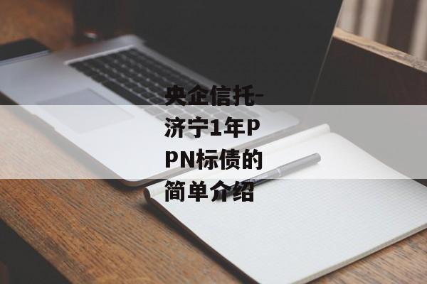 央企信托-济宁1年PPN标债的简单介绍-第1张图片-信托定融返点网