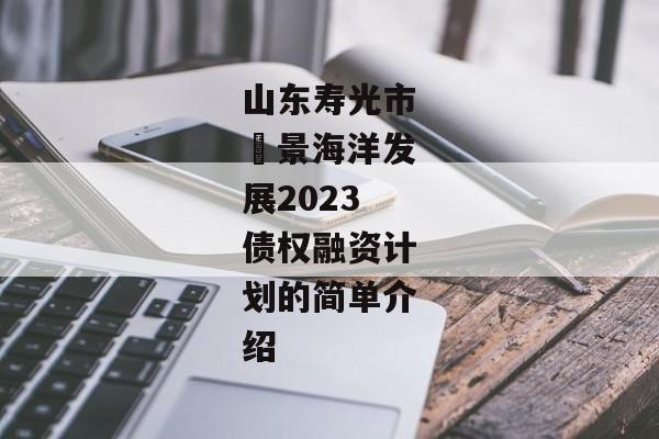 山东寿光市昇景海洋发展2023债权融资计划的简单介绍