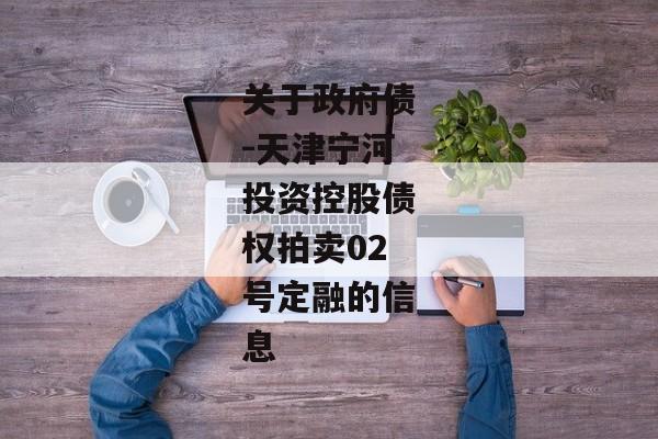 关于政府债-天津宁河投资控股债权拍卖02号定融的信息