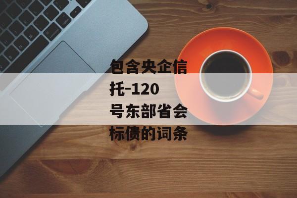 包含央企信托-120号东部省会标债的词条