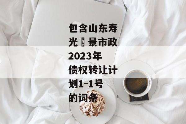 包含山东寿光昇景市政2023年债权转让计划1-1号的词条